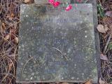 image of grave number 954495